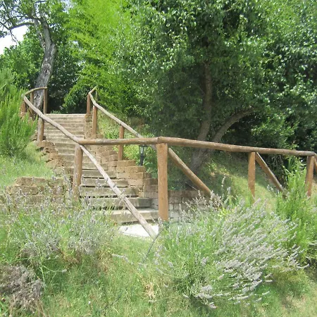 Fattoria Bertaccini Lantgård