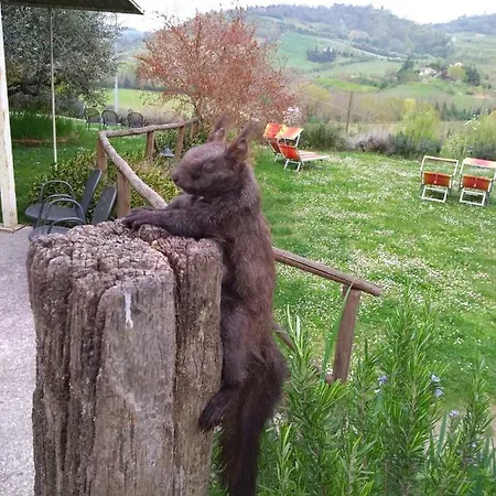Fattoria Bertaccini Lantgård *
