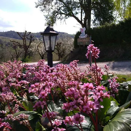 Lantgård Fattoria Bertaccini *