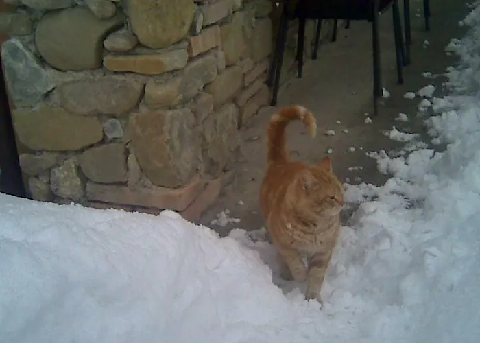 Farma Fattoria Bertaccini