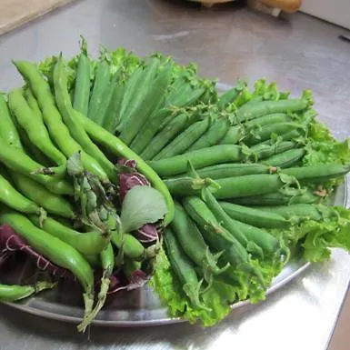 Fattoria Bertaccini צ'זנה