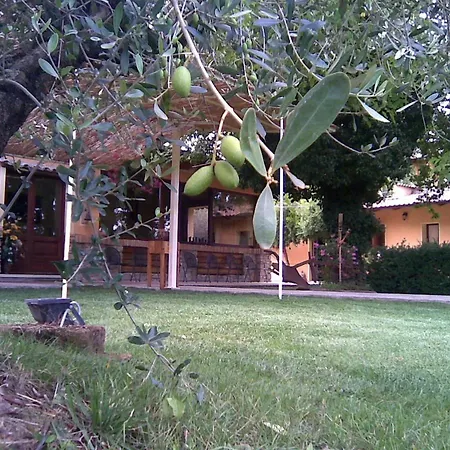 בית חווה Fattoria Bertaccini