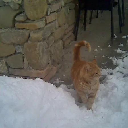 בית חווה Fattoria Bertaccini