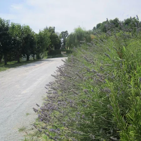 Le Spighe Agriturismo Farm stay *
