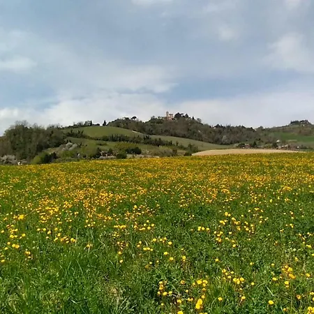 Fattoria Bertaccini צ'זנה