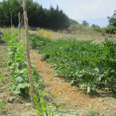 Fattoria Bertaccini בית חווה *