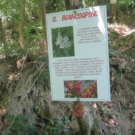 Fattoria Bertaccini צ'זנה