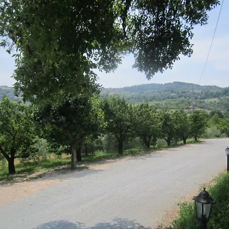 Fattoria Bertaccini צ'זנה