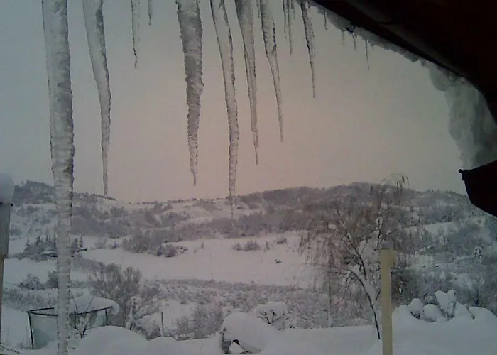 Le Spighe Alloggio per agriturismo Cesena