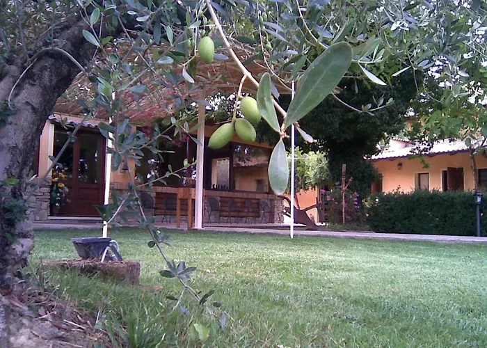 Κατάλυμα σε φάρμα Fattoria Bertaccini