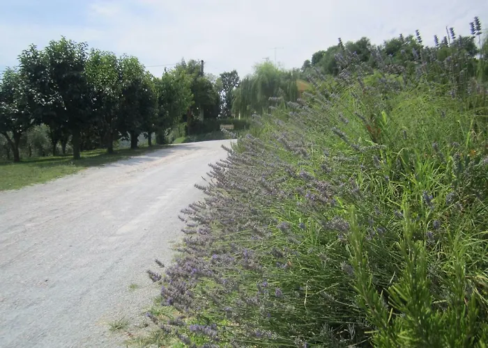 Fattoria Bertaccini Κατάλυμα σε φάρμα *