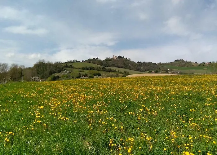 Fattoria Bertaccini Τσεζένα