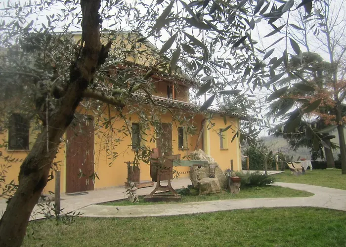 Fattoria Bertaccini