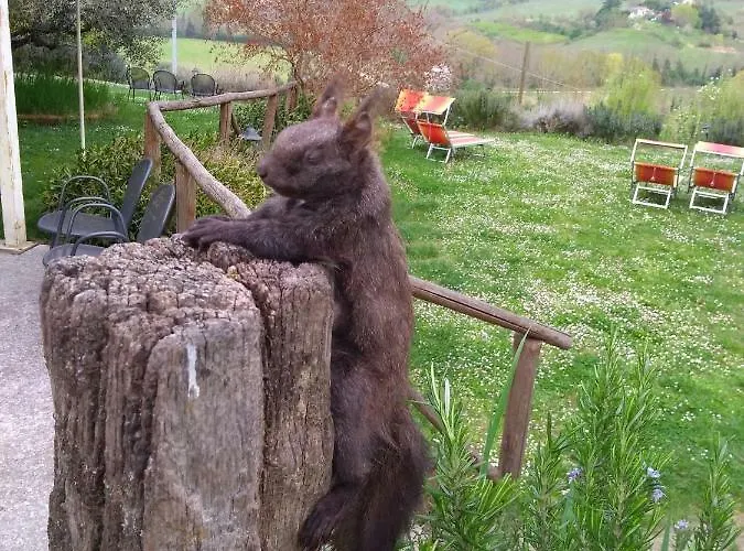 Fattoria Bertaccini Κατάλυμα σε φάρμα *