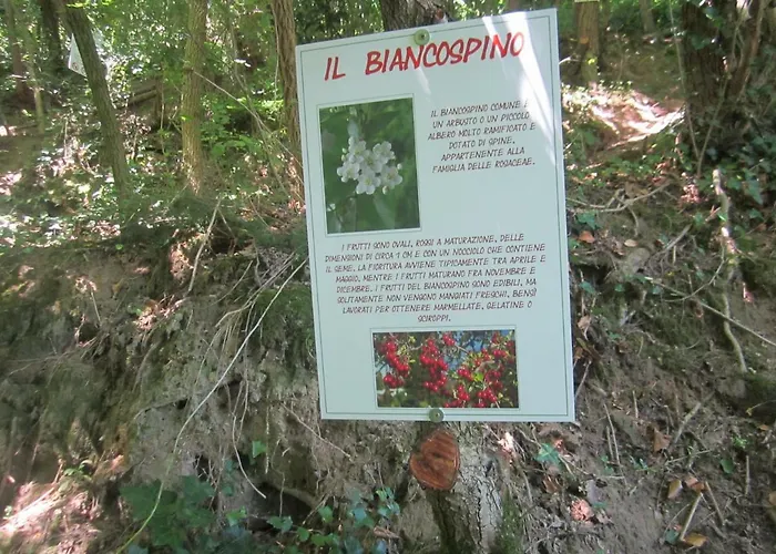Fattoria Bertaccini Τσεζένα