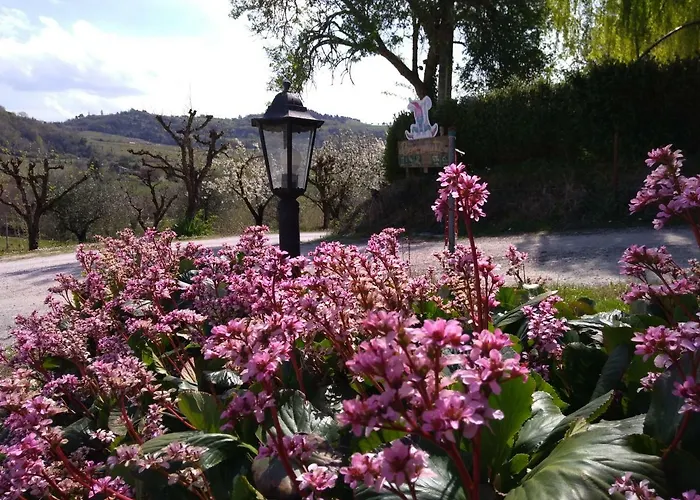 Alloggio per agriturismo Le Spighe *